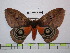  ( - BC-FMP-0689)  @13 [ ] Copyright (2010) Unspecified Research Collection of Frank Meister
