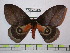  ( - BC-FMP-0692)  @13 [ ] Copyright (2010) Unspecified Research Collection of Frank Meister