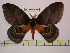  ( - BC-FMP-0694)  @13 [ ] Copyright (2010) Unspecified Research Collection of Frank Meister