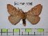  ( - BC-FMP-0728)  @14 [ ] Copyright (2010) Unspecified Research Collection of Frank Meister
