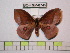  ( - BC-FMP-0745)  @14 [ ] Copyright (2010) Unspecified Research Collection of Frank Meister