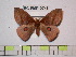  ( - BC-FMP-0746)  @13 [ ] Copyright (2010) Unspecified Research Collection of Frank Meister