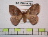  ( - BC-FMP-0749)  @13 [ ] Copyright (2010) Unspecified Research Collection of Frank Meister