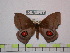  ( - BC-FMP-0754)  @13 [ ] Copyright (2010) Unspecified Research Collection of Frank Meister