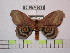  ( - BC-FMP-0775)  @13 [ ] Copyright (2010) Unspecified Research Collection of Frank Meister