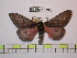  ( - BC-FMP-0798)  @11 [ ] Copyright (2010) Unspecified Research Collection of Frank Meister