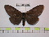  ( - BC-FMP-0806)  @14 [ ] Copyright (2010) Unspecified Research Collection of Frank Meister