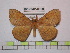  ( - BC-FMP-0809)  @13 [ ] Copyright (2010) Unspecified Research Collection of Frank Meister