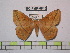  ( - BC-FMP-0816)  @13 [ ] Copyright (2010) Unspecified Research Collection of Frank Meister