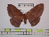  ( - BC-FMP-0818)  @12 [ ] Copyright (2010) Unspecified Research Collection of Frank Meister