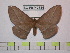  ( - BC-FMP-0824)  @13 [ ] Copyright (2010) Unspecified Research Collection of Frank Meister