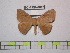  ( - BC-FMP-0825)  @13 [ ] Copyright (2010) Unspecified Research Collection of Frank Meister