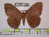  ( - BC-FMP-0840)  @13 [ ] Copyright (2010) Unspecified Research Collection of Frank Meister