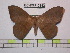  ( - BC-FMP-0842)  @13 [ ] Copyright (2010) Unspecified Research Collection of Frank Meister