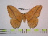  ( - BC-FMP-0847)  @13 [ ] Copyright (2010) Unspecified Research Collection of Frank Meister