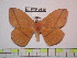  ( - BC-FMP-0849)  @13 [ ] Copyright (2010) Unspecified Research Collection of Frank Meister