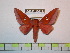  ( - BC-FMP-0867)  @12 [ ] Copyright (2010) Unspecified Research Collection of Frank Meister