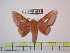  ( - BC-FMP-0869)  @14 [ ] Copyright (2010) Unspecified Research Collection of Frank Meister