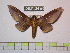  ( - BC-FMP-0870)  @11 [ ] Copyright (2010) Unspecified Research Collection of Frank Meister