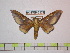  ( - BC-FMP-0872)  @13 [ ] Copyright (2010) Unspecified Research Collection of Frank Meister