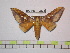  ( - BC-FMP-0873)  @11 [ ] Copyright (2010) Unspecified Research Collection of Frank Meister