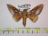  ( - BC-FMP-0874)  @13 [ ] Copyright (2010) Unspecified Research Collection of Frank Meister