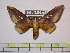  ( - BC-FMP-0876)  @13 [ ] Copyright (2010) Unspecified Research Collection of Frank Meister