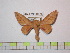  ( - BC-FMP-0878)  @11 [ ] Copyright (2010) Unspecified Research Collection of Frank Meister