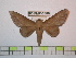  ( - BC-FMP-0880)  @13 [ ] Copyright (2010) Unspecified Research Collection of Frank Meister