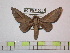  ( - BC-FMP-0881)  @13 [ ] Copyright (2010) Unspecified Research Collection of Frank Meister