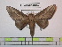  ( - BC-FMP-0882)  @13 [ ] Copyright (2010) Unspecified Research Collection of Frank Meister