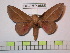  ( - BC-FMP-0885)  @14 [ ] Copyright (2010) Unspecified Research Collection of Frank Meister