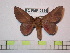  ( - BC-FMP-0886)  @14 [ ] Copyright (2010) Unspecified Research Collection of Frank Meister