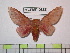  ( - BC-FMP-0888)  @14 [ ] Copyright (2010) Unspecified Research Collection of Frank Meister