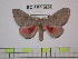  ( - BC-FMP-0898)  @13 [ ] Copyright (2010) Unspecified Research Collection of Frank Meister