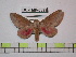  ( - BC-FMP-0899)  @14 [ ] Copyright (2010) Unspecified Research Collection of Frank Meister