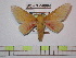  ( - BC-FMP-0904)  @11 [ ] Copyright (2010) Unspecified Research Collection of Frank Meister