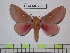  ( - BC-FMP-0905)  @14 [ ] Copyright (2010) Unspecified Research Collection of Frank Meister