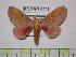  ( - BC-FMP-0907)  @14 [ ] Copyright (2010) Unspecified Research Collection of Frank Meister
