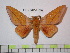  ( - BC-FMP-0914)  @11 [ ] Copyright (2010) Unspecified Research Collection of Frank Meister
