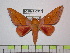  ( - BC-FMP-0926)  @13 [ ] Copyright (2010) Unspecified Research Collection of Frank Meister