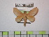 ( - BC-FMP-0946)  @14 [ ] Copyright (2010) Unspecified Research Collection of Frank Meister