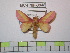  ( - BC-FMP-0948)  @14 [ ] Copyright (2010) Unspecified Research Collection of Frank Meister