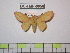 ( - BC-FMP-0950)  @12 [ ] Copyright (2010) Unspecified Research Collection of Frank Meister