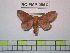 ( - BC-FMP-0952)  @13 [ ] Copyright (2010) Unspecified Research Collection of Frank Meister