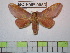  ( - BC-FMP-0953)  @13 [ ] Copyright (2010) Unspecified Research Collection of Frank Meister
