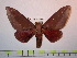  ( - BC-FMP-0960)  @13 [ ] Copyright (2010) Unspecified Research Collection of Frank Meister
