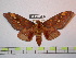 ( - BC-FMP-0985)  @11 [ ] Copyright (2010) Unspecified Research Collection of Frank Meister
