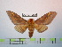  ( - BC-FMP-0991)  @12 [ ] Copyright (2010) Unspecified Research Collection of Frank Meister