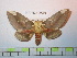  ( - BC-FMP-0993)  @14 [ ] Copyright (2010) Unspecified Research Collection of Frank Meister